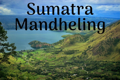 Sumatra Mandheling Dark Roast